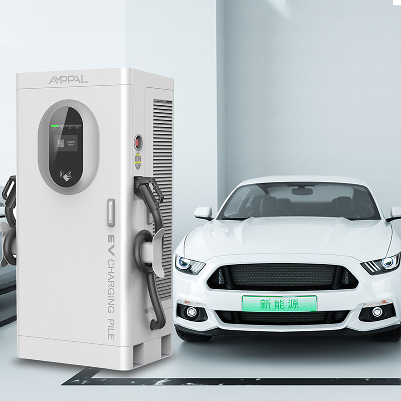 Electric Car Solar Double Gun dc Charging Pile ev Charging Station