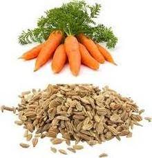 100 % Pure Carrot Seed Oil 15ml