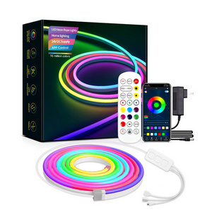 Holiday Decoration Colorful SMD 5050 10W 12V LED Neon Rope Lamp IP65 Flex Outdoor Indoor Portable Remote Control Rgb Neon Light