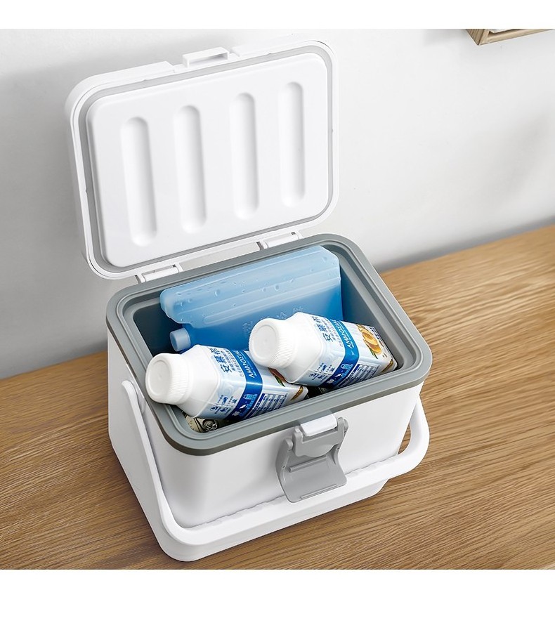 4.5L Small Size Portable Icecream Box  Outdoor Mini Ice Box Cooler