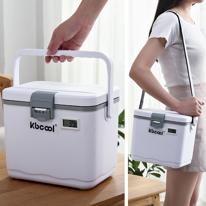 4.5L Small Size Portable Icecream Box  Outdoor Mini Ice Box Cooler