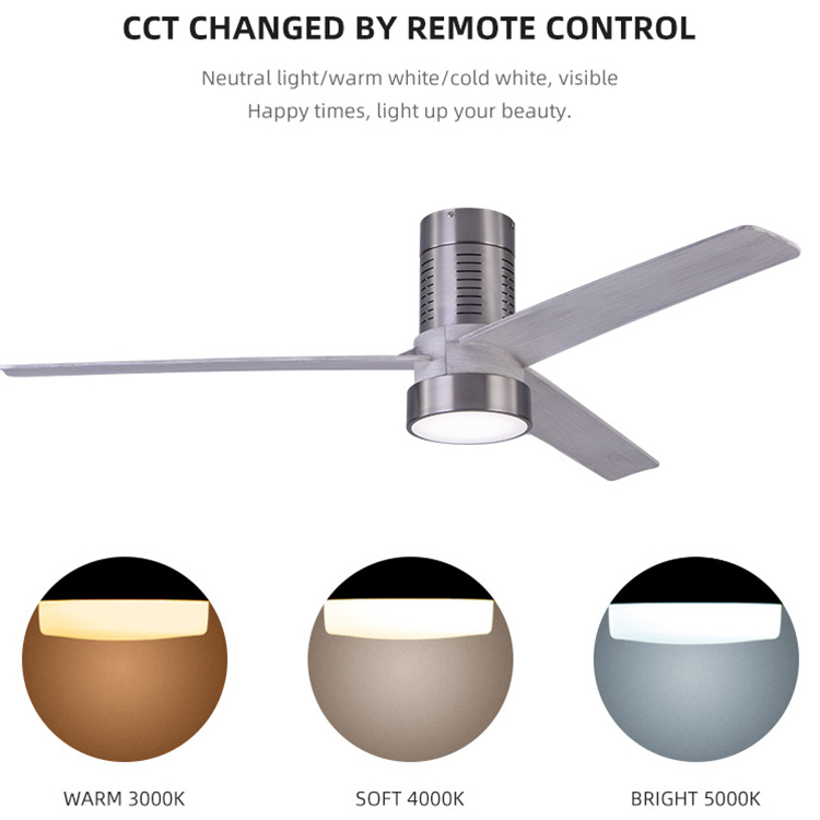 Factory Price Ac Motor Air Cooling Remote Control Decorative Smart Wifi Switch Led Ceiling Fan Light