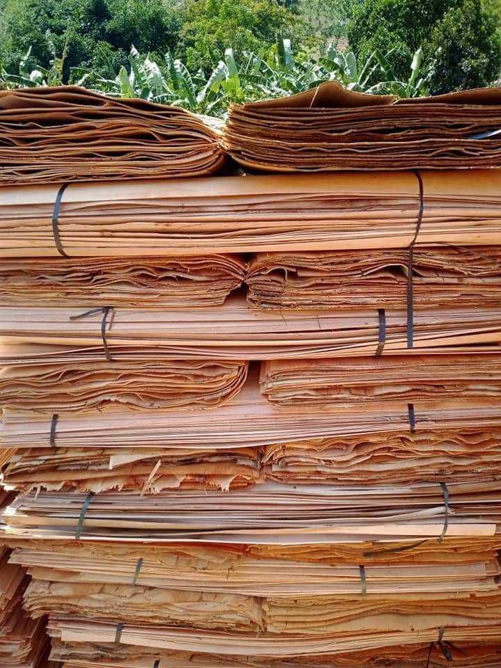 Veneers from Vietnam, Natural Eucalyptus /Acacia/Rubber Veneer