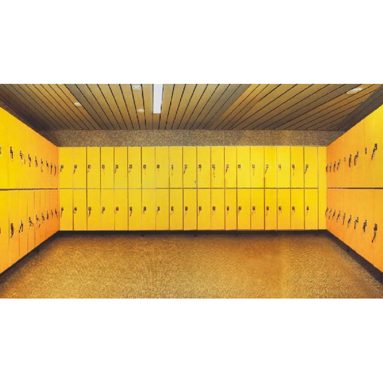 Chinese Commercial HPL Woodgrain Gym Lockers