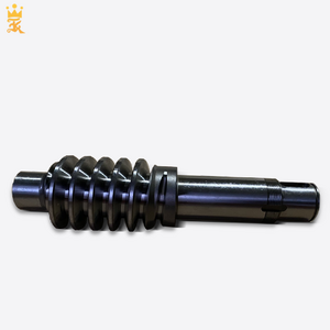 Precision Machined Stainless Steel Worm Shaft Motor Worm Shaft Worm Gear Shafts by Taiwan Supplier