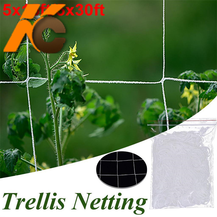 Factory  HDPE or polyester   Trellis net   Cucumber Plant Support Net Vegetable garden  Climbing Plant netting