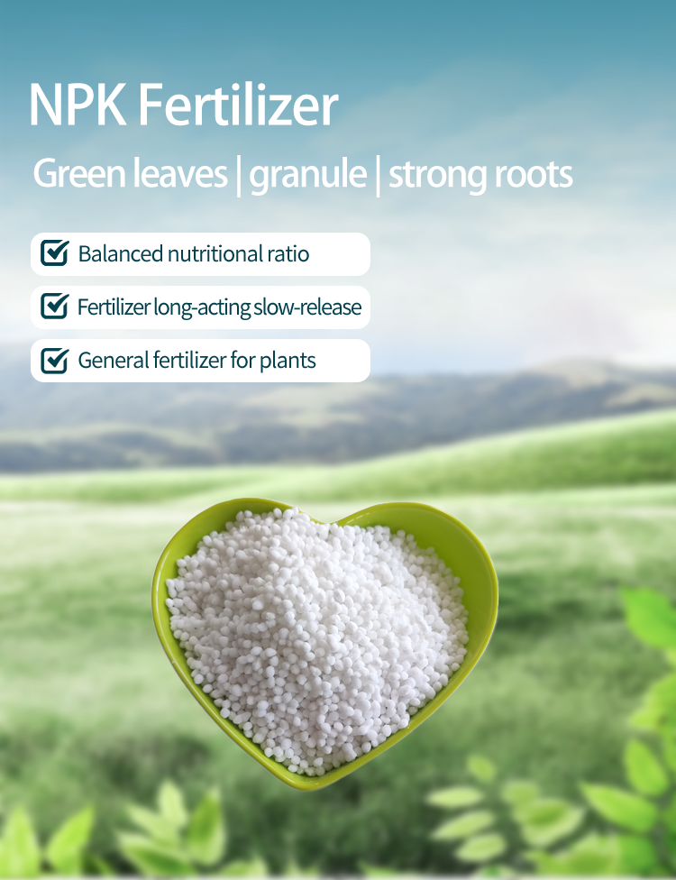 Water soluble npk fertilizer manufacture fertilizer 10-20-10 npk  for rice