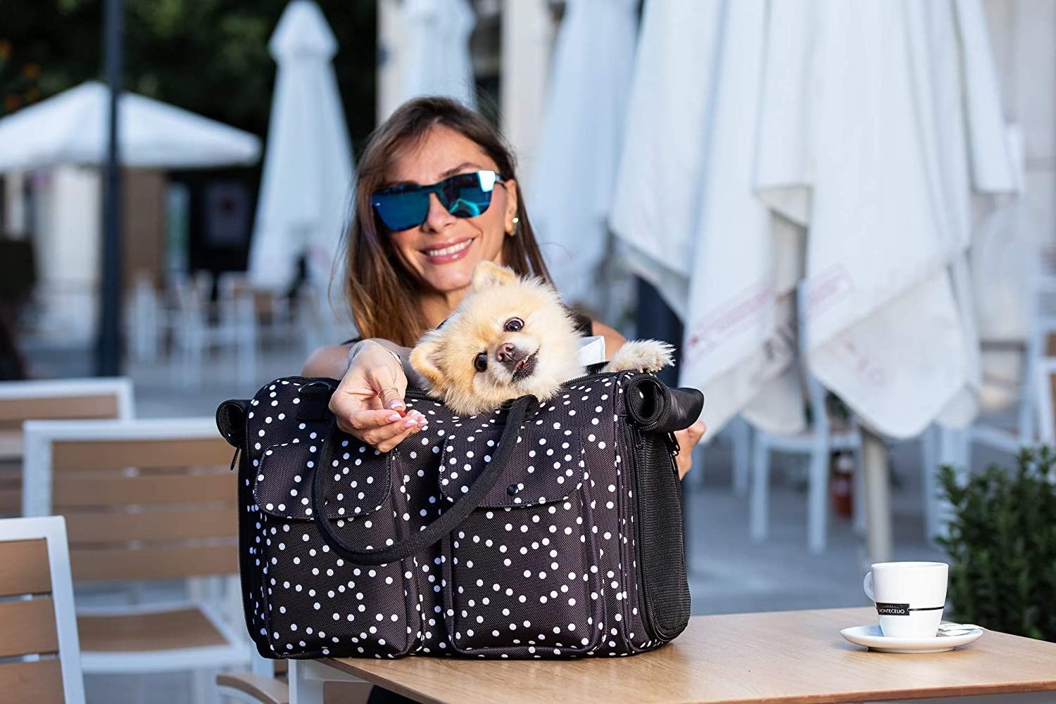 FREE SAMPLE Fashion Dog  Cat Rabbit Carrier Soft Sided Pet Carrier Airline Approved Pets Travel Tote Bag