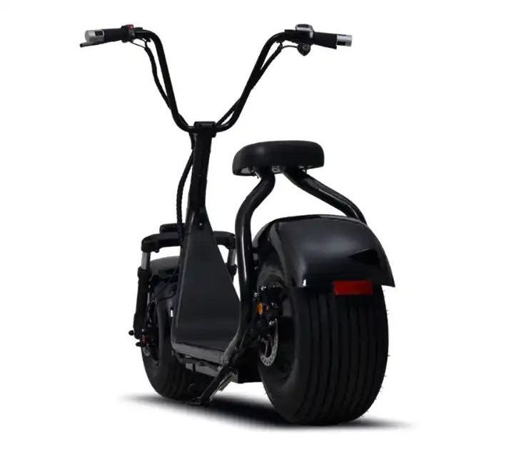 Moped Electric 14