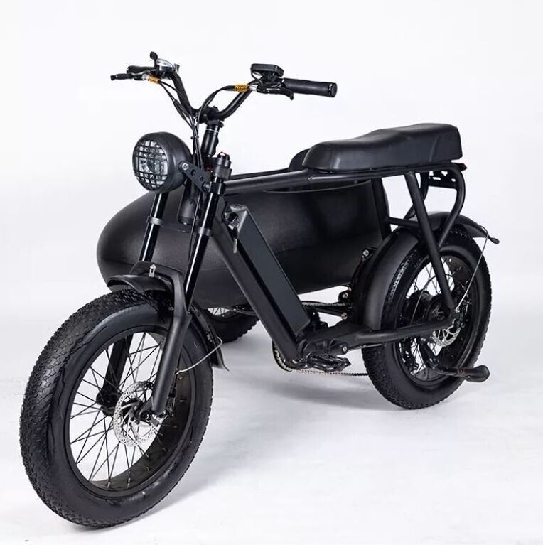 Available In Stock PlayeBike 750w 6 Speed Shimano Electric Tricycle Ebike Bicycle With Side Car