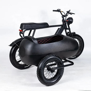 Available In Stock PlayeBike 750w 6 Speed Shimano Electric Tricycle Ebike Bicycle With Side Car