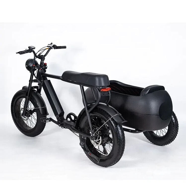 Available In Stock PlayeBike 750w 6 Speed Shimano Electric Tricycle Ebike Bicycle With Side Car