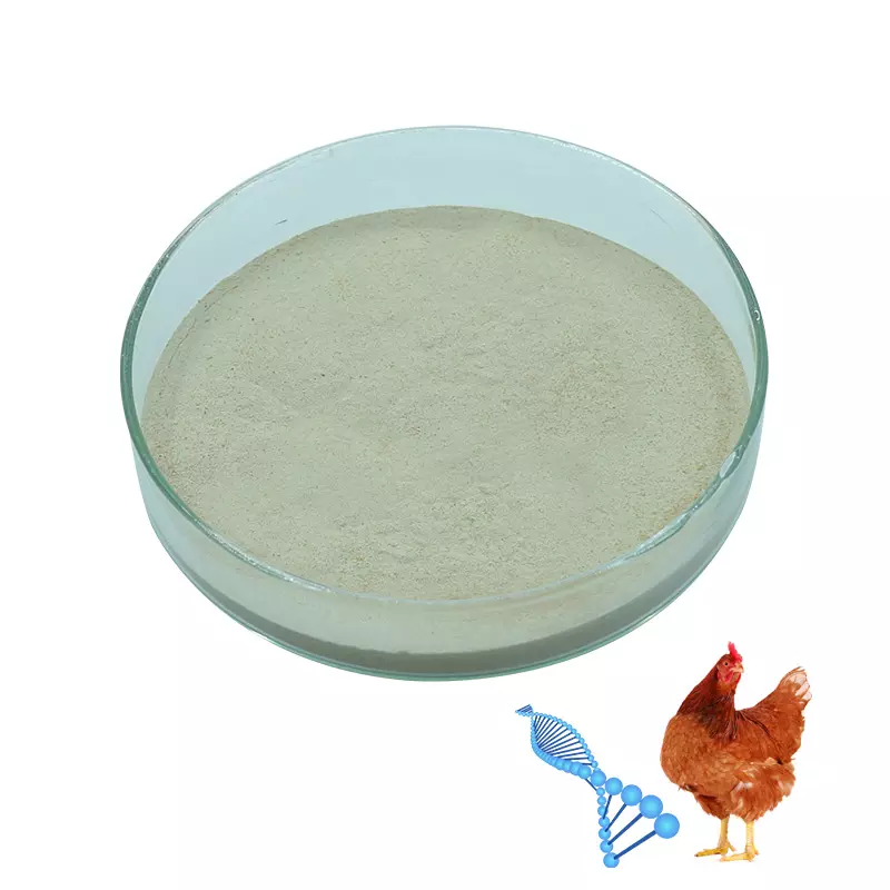 Animal Feed Grade Toxin Binder Feed Additive For Poultry Toxin Binders Mycotoxin Binder