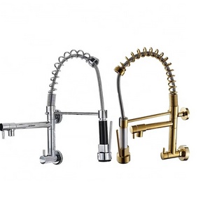 Quality Design Wall Mounted Brass Kitchen Faucet Hot And Cold Mixer Kitchen Sink Faucet Dual Handle Water Filter Faucet