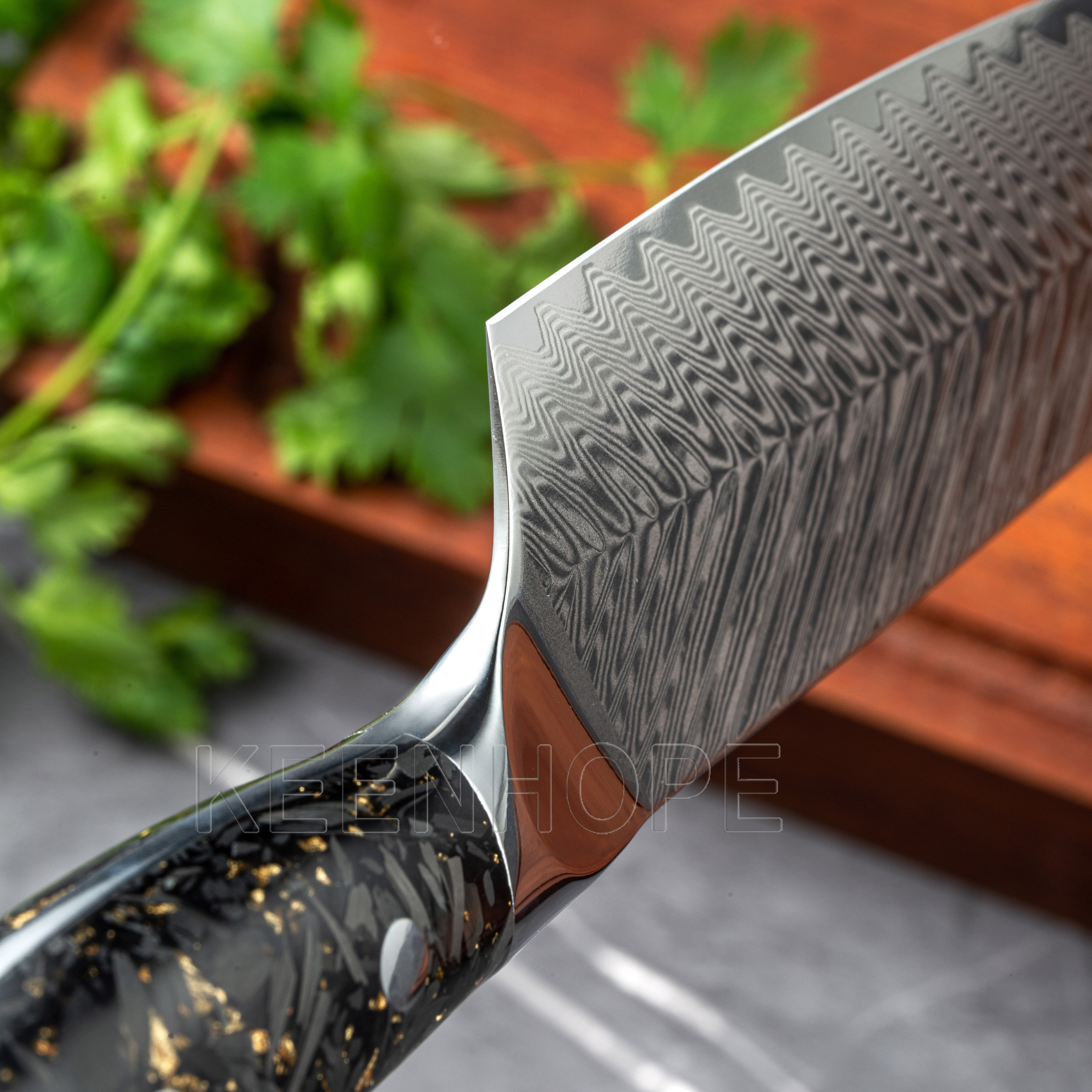 4.5 inch Steak Knife with SS316 Bolster Composited Resin + Carbon Fiber Handle 67 Layers Damascus VG10 Knife