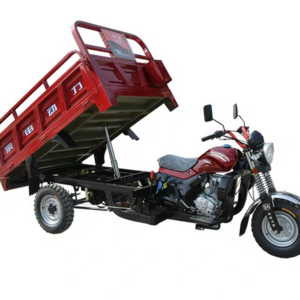 Hot Sale Self Loader 3 Wheel Motorcycle For Sale Three Wheel Gasoline Motorcycle 3 Wheel Cargo Tricycle