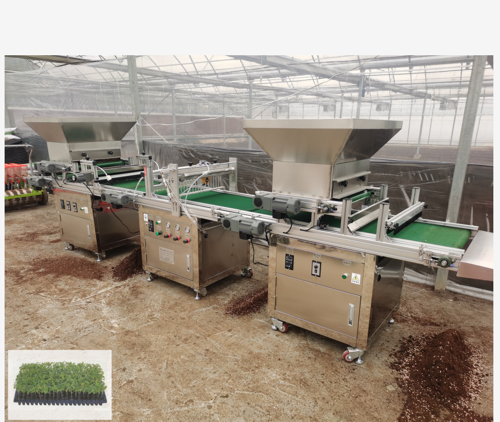 High quality stainless steel plug tray seeder tray seedling  machine  planting machine Plug seedling machine