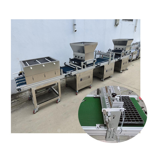 High quality stainless steel plug tray seeder tray seedling  machine  planting machine Plug seedling machine