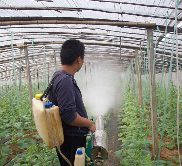 Factory Sale Agricultural Fogger Sprayer Fumigation Portable Thermal Fogger Mist Fogging Machine  For Pest Control