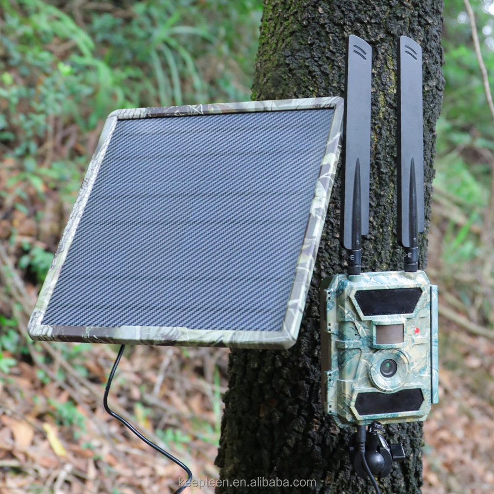 Trail Camera Solar Panel Built In Battery 12V 10W Rechargeable  With Type C USB DC5521 Plug For Hunting Game