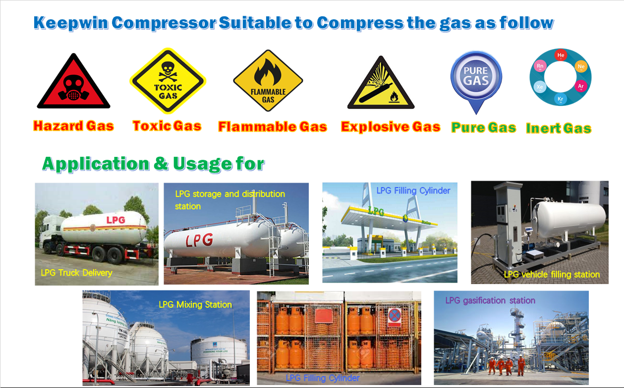 Cylinder Oil Free transfer liquid LPG Gas Compressor recovery gas from LPG tanks