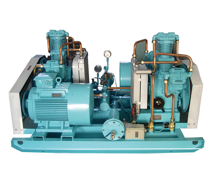 Air cooled water cooler Oil Free Oxygen Gas Compressor with IP55 motor