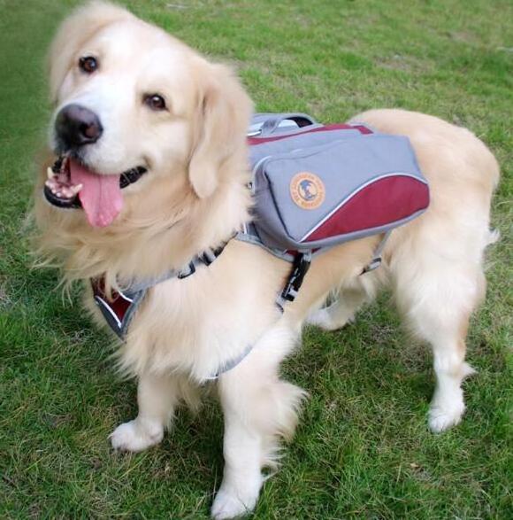 Adjustable dog backpack dog bag pet carriers for outdoor travel