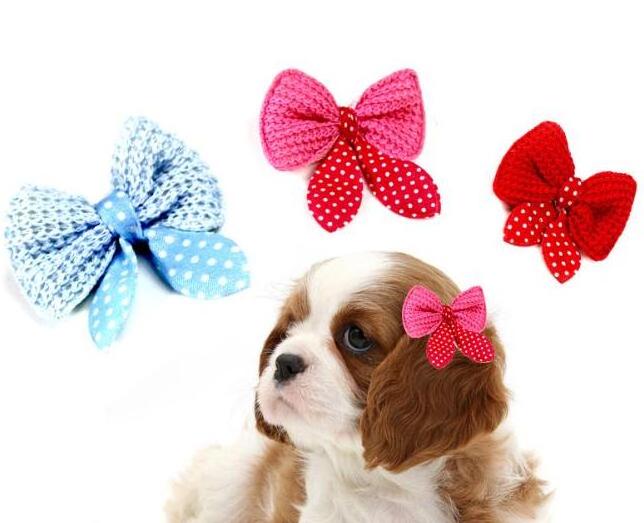 Cute three colors optional pet hair clips for small dog cat headwear pet accessories