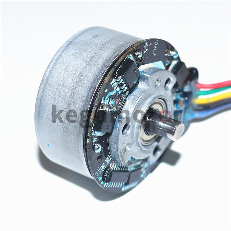 BL4525 factory Price 24V 23W 45mm bldc brushless dc motor 3200RPM for Fascia Massage Gun Massage Equipment BLDC Motor BL45250