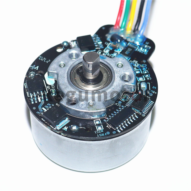 BL4525 factory Price 24V 23W 45mm bldc brushless dc motor 3200RPM for Fascia Massage Gun Massage Equipment BLDC Motor BL45250