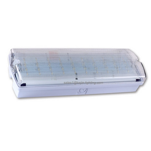 2024 Hot sell IP65 Rechargeable Led Bulkhead 3H Battery Backup Led Emergency Lights high lumen waterproof emergency light