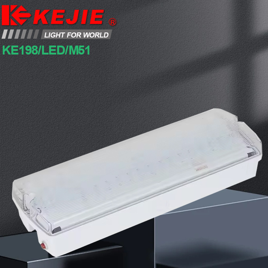 High Brightness IP65 Waterproof Bulkhead LED Emergency lights PVC Fitting Outdoor 3 Hours Backup Rechargeable Exit Light