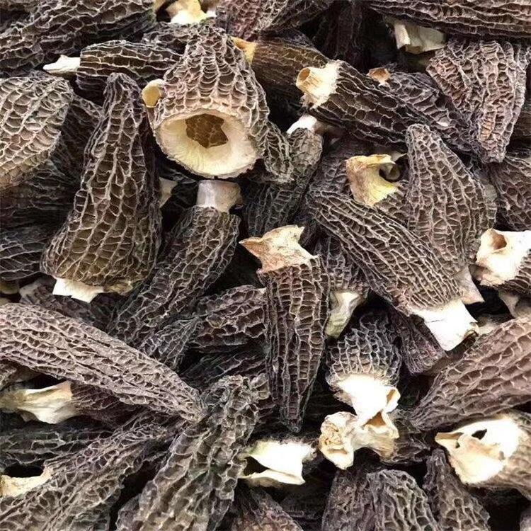 Dried Mushrooms  morille Wild Morel Mushroom black Morchella