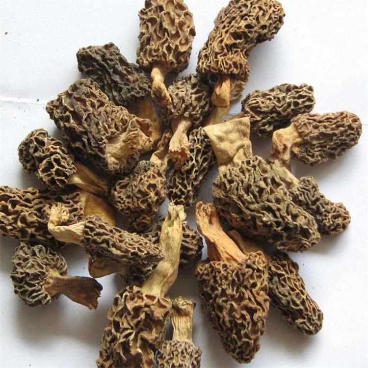 Dried Mushrooms  morille Wild Morel Mushroom black Morchella