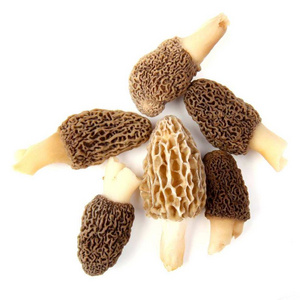 Dried Mushrooms  morille Wild Morel Mushroom black Morchella