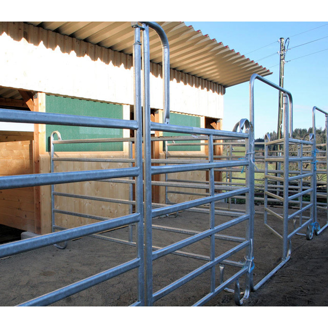 Good selling steel cattle corral panel 8ft height cattle fence panel with slam latch