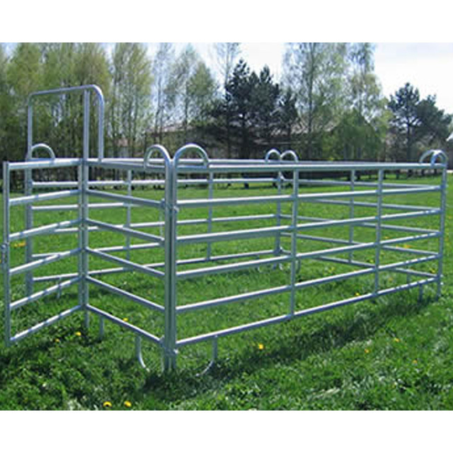 Good selling steel cattle corral panel 8ft height cattle fence panel with slam latch