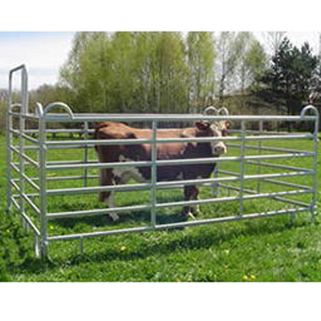 Good selling steel cattle corral panel 8ft height cattle fence panel with slam latch