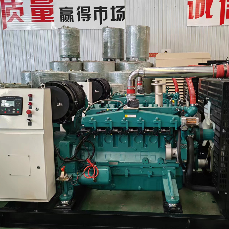 100 Kw Gas Natural Gas Generator