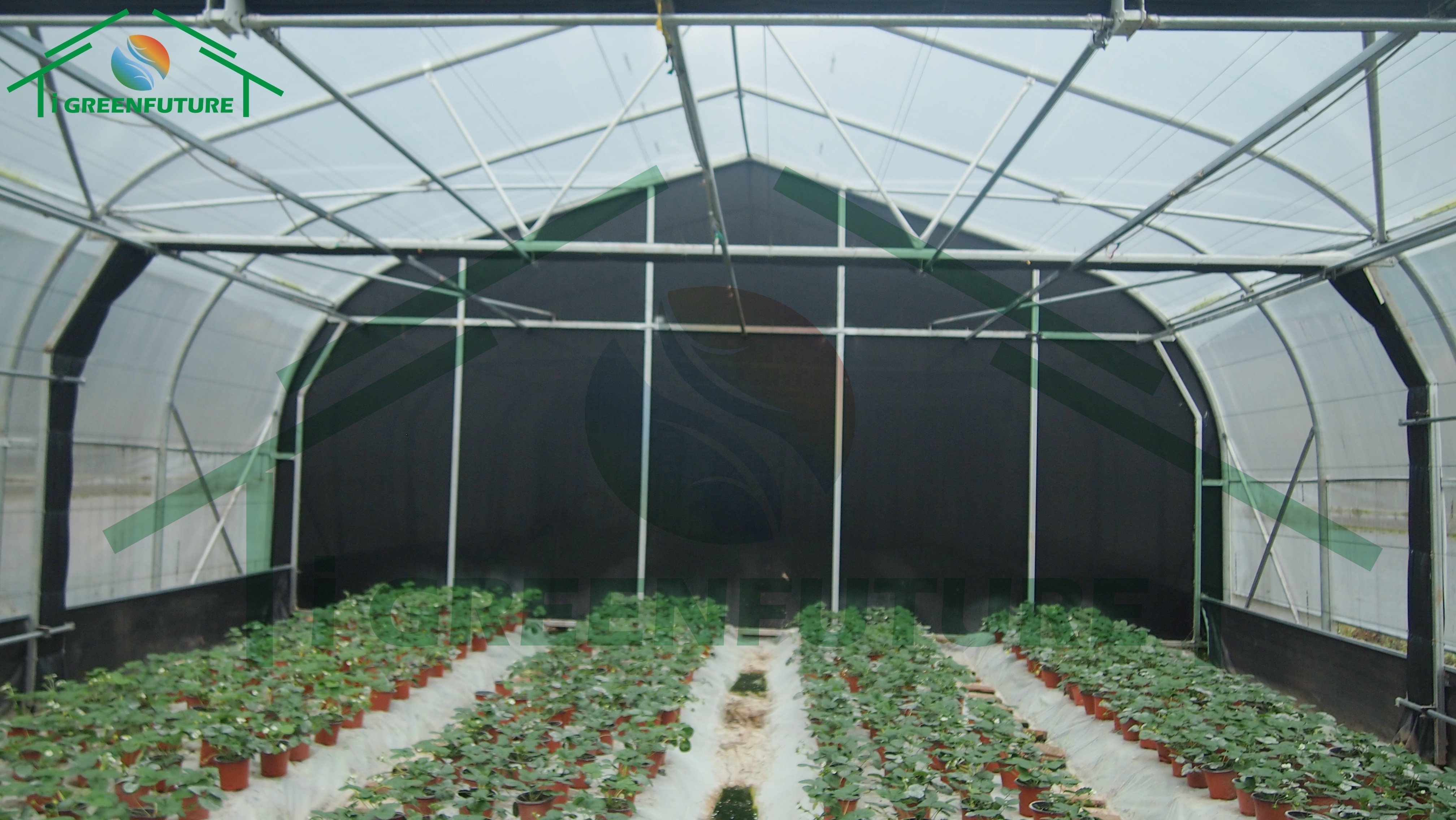 Low Cost Greenhouse Greenhouse Thermal Blanket With Galvanized Steel Frame Greenhouse Grow Tent