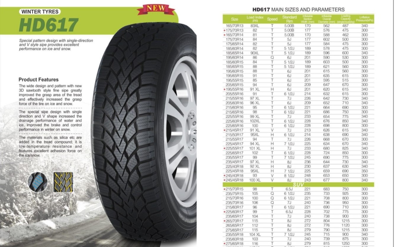 Winter tyre 245/45R18 100XL V  buy tires direct from china 245 45 R18  china advance tire 245/45/18