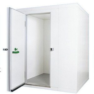 Mobile Insulated Freezer Container Cold Room/Cold Storage For Meat/ Fish/ Vegetable