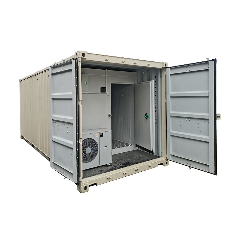 Cold Room Storage Refrigeration Blast Freezer Price For Meat Fish Chicken And Onion