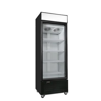 Kenkuhl commercial single door upright  wine bottle beverage cooler fridge refrigerator