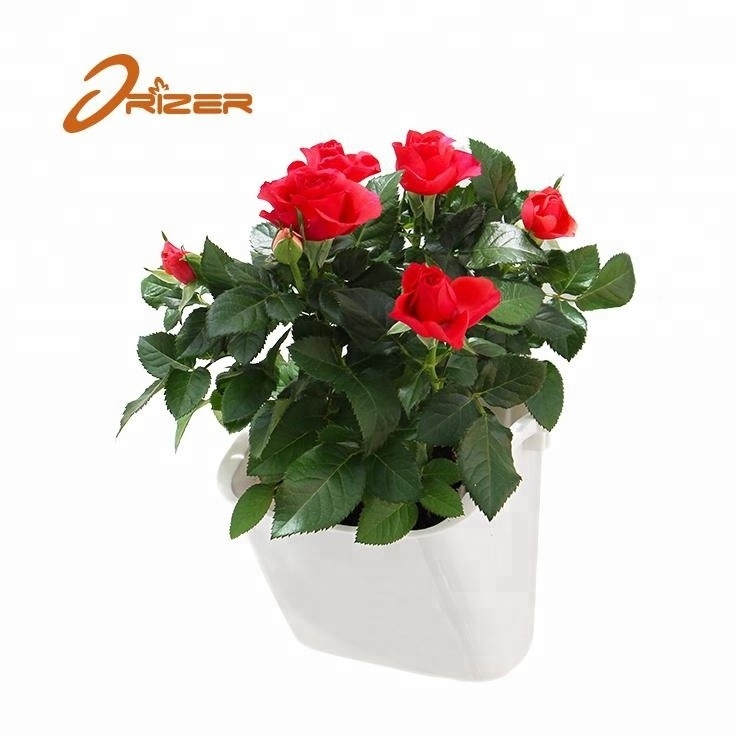 New self watering plant plastic pot hanging wall planter