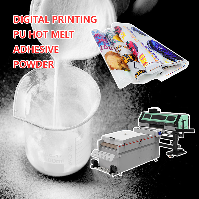 DTF Hot Melt White Black Soft High Stretchable DTF Powder 1Kg TPU Adhesive Gum For DTF T- shirt Heat Transfer Printing