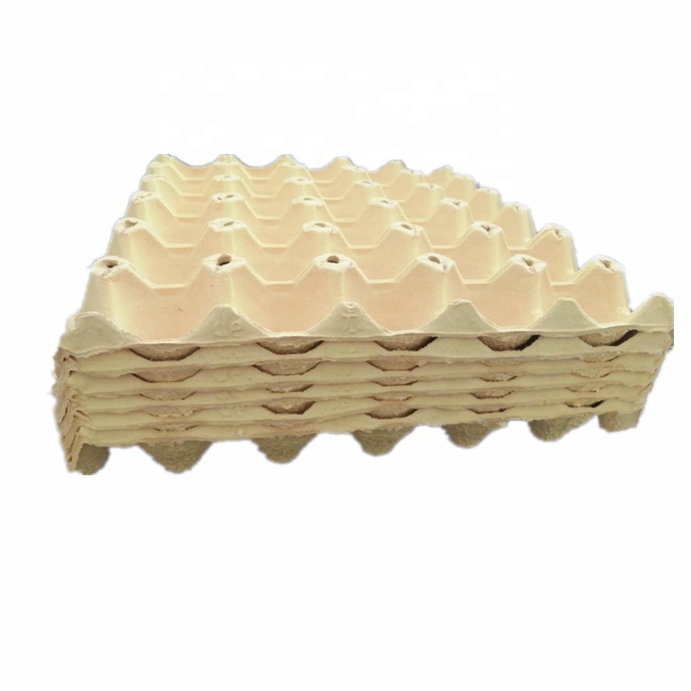 Wholesale biodegradable egg cartons 30 pack cardboard pulp paper egg box tray