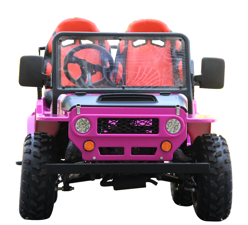 Newest design Cars Atv Utv By Sides Go Kart Gas Powered Dune Buggy For Kids Mini Willys Jeeps