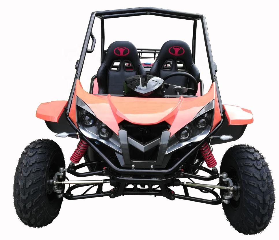 KNL RENLI EPA 200cc 4x2 dune sand buggy atv go kart UTV