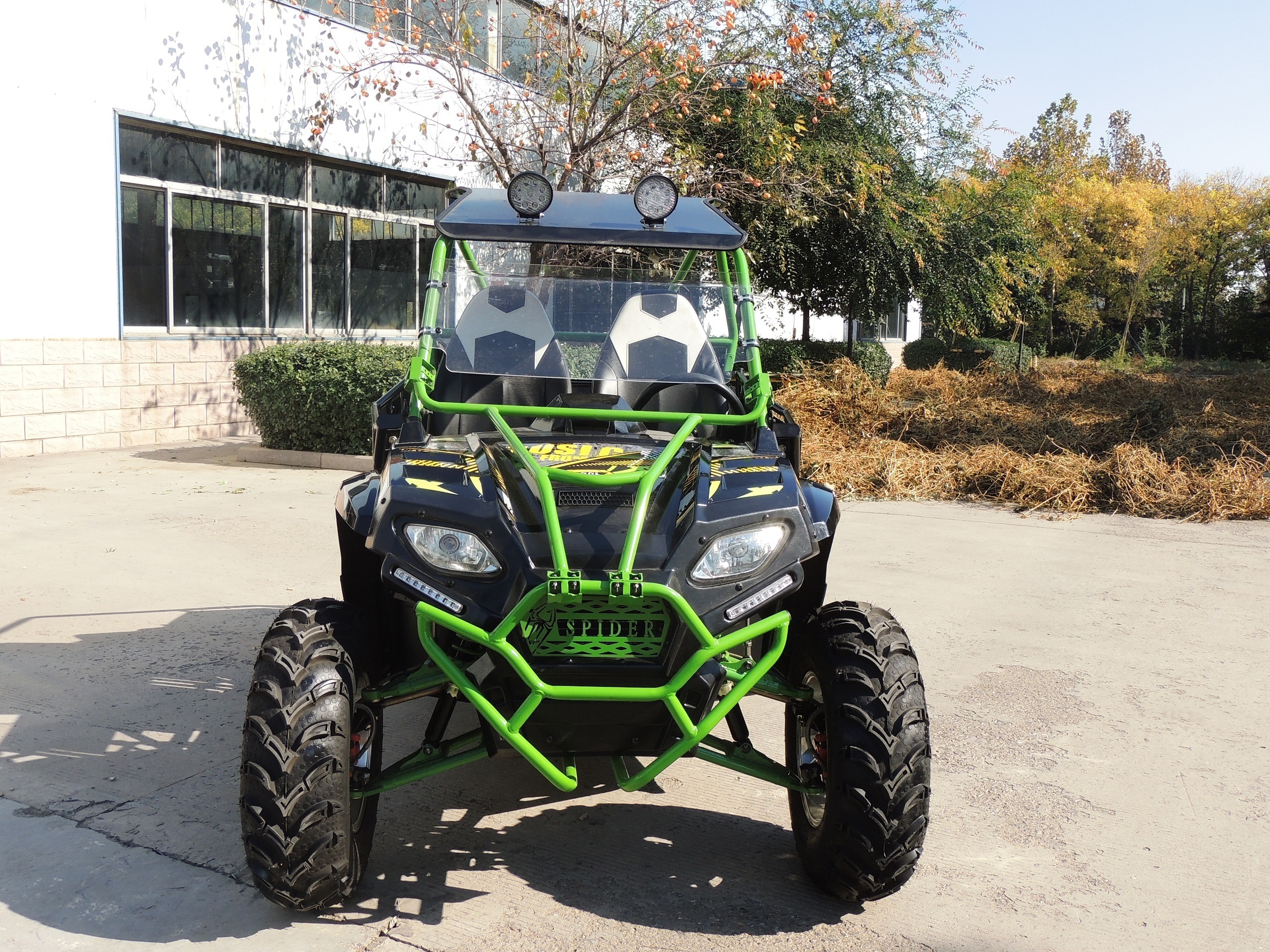 Chinese Fangpower 250CC utility street legal 4 wheel dune buggy gasoline UTV for adventure